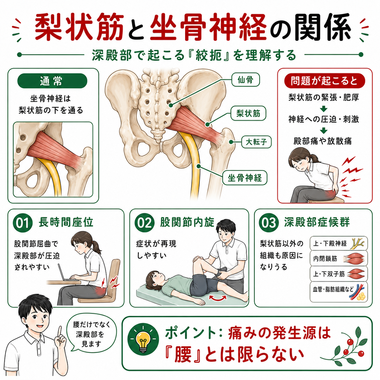 2026年版】治らない坐骨神経痛は「梨状筋症候群」かも？原因の見分け方
