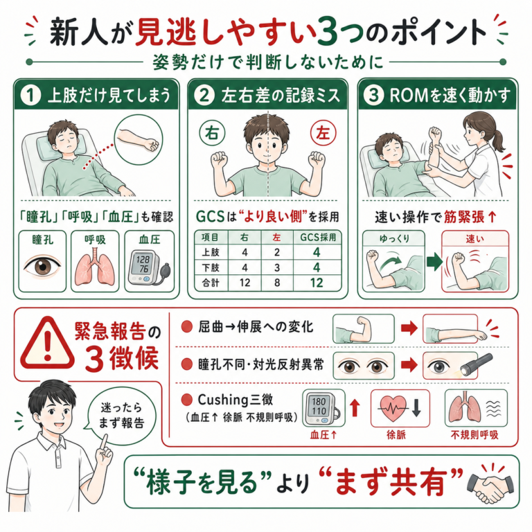 【2026年版】除脳硬直と除皮質硬直の違いとは？姿勢・GCS・原因・リハビリを専門家が徹底解説 – STROKE LAB 東京/大阪 自費 ...