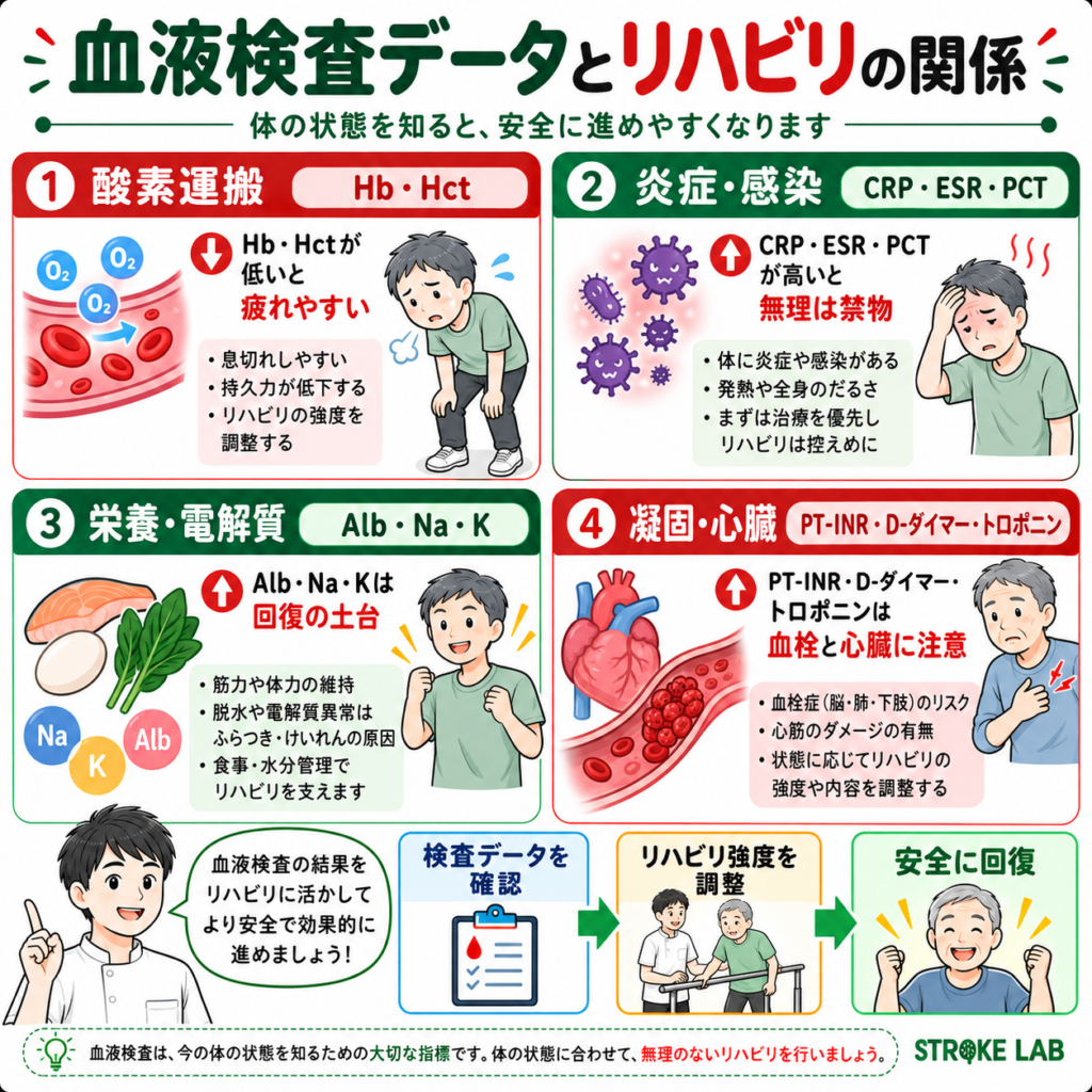 血液検査データとリハビリの関係を酸素運搬・炎症・栄養・心臓の4項目で解説した図