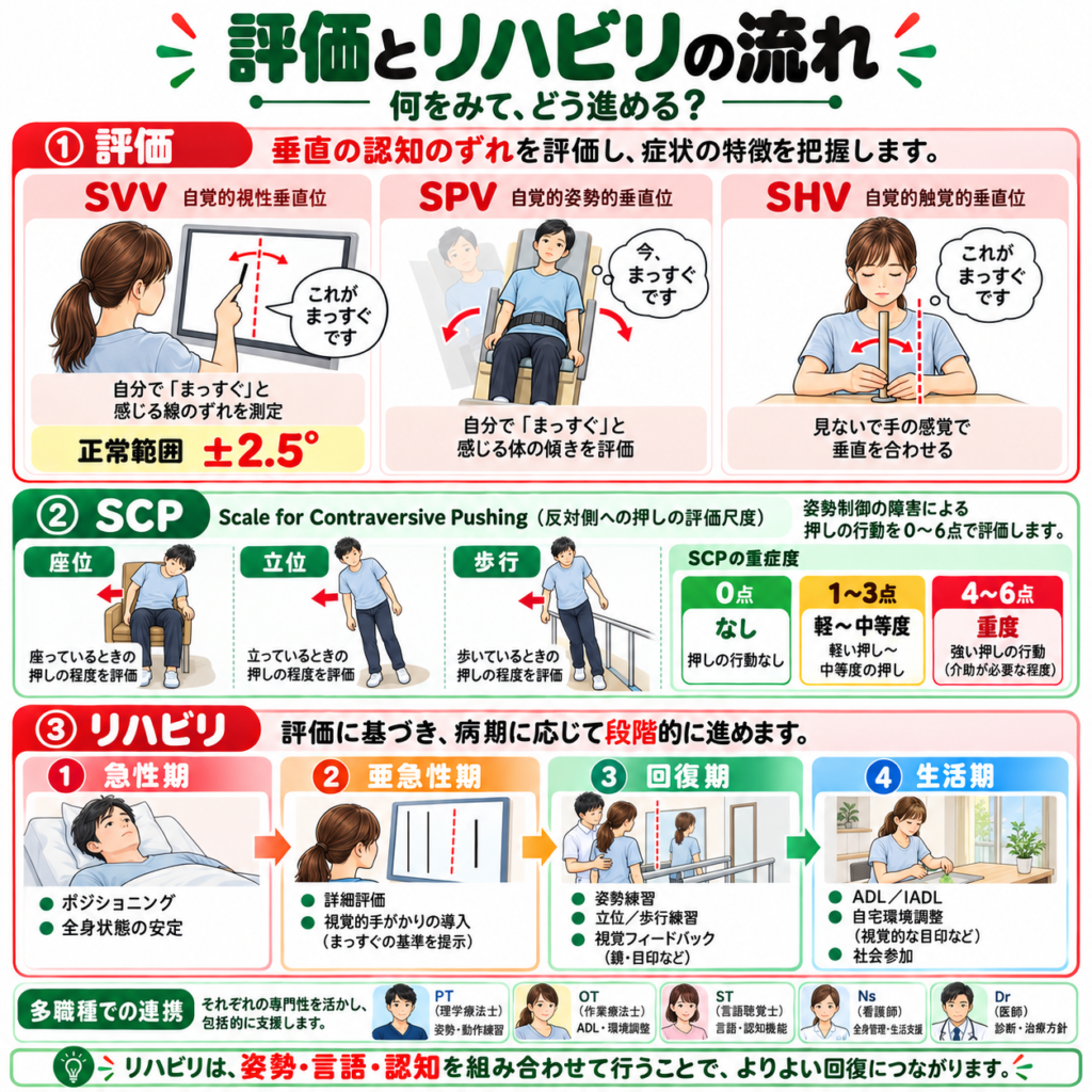 SVV・SPV・SHVとSCPによる評価から側頭葉損傷の段階的リハビリまでを示した図