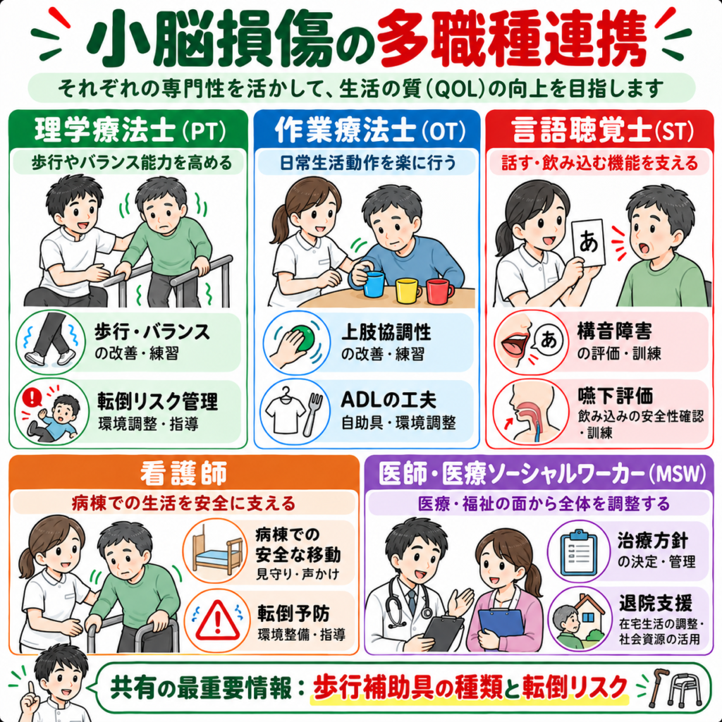 小脳損傷患者に対するPT・OT・ST・看護師・医師MSWの多職種連携を示した図解