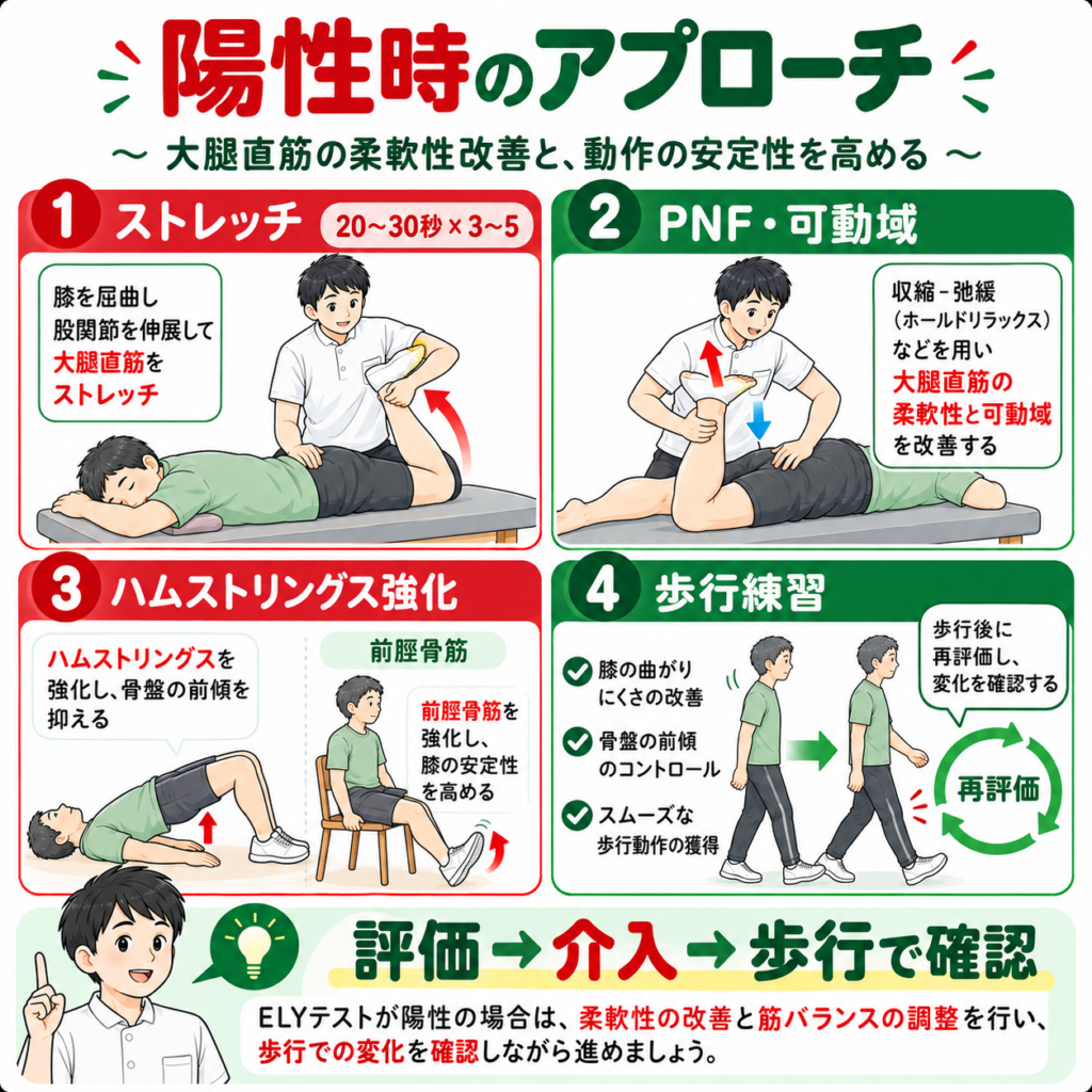 ELYテスト陽性時の大腿直筋ストレッチ、PNF、ハムストリングス強化、歩行練習を解説した図