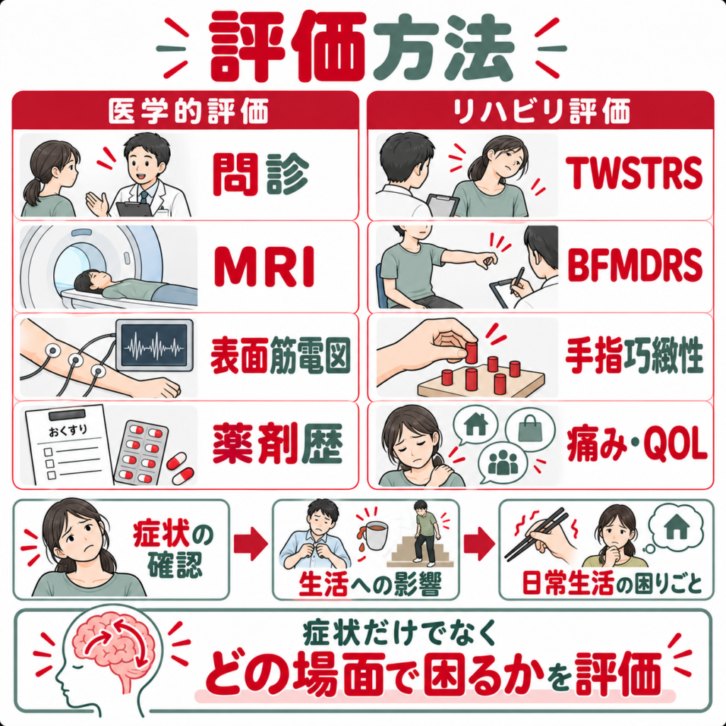 ジストニアの問診・MRI・表面筋電図とTWSTRS・BFMDRS・手指巧緻性評価を示す図解