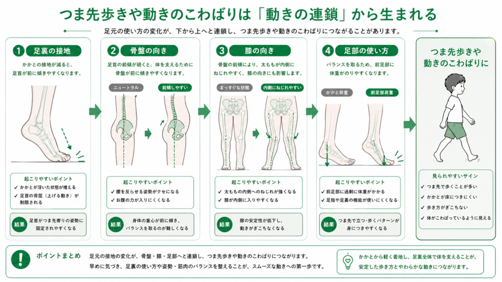 つま先歩きや動きのこわばりは動きの連鎖から生まれる