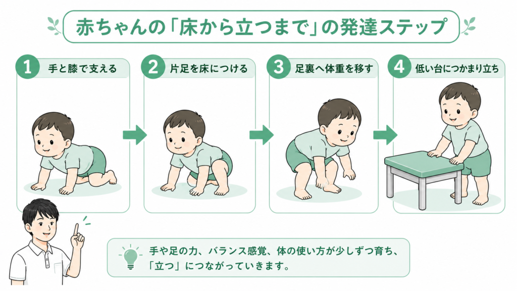 赤ちゃんの床から立つまでの発達ステップ