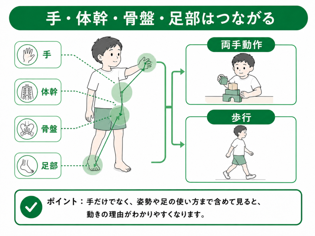 全身のつながり