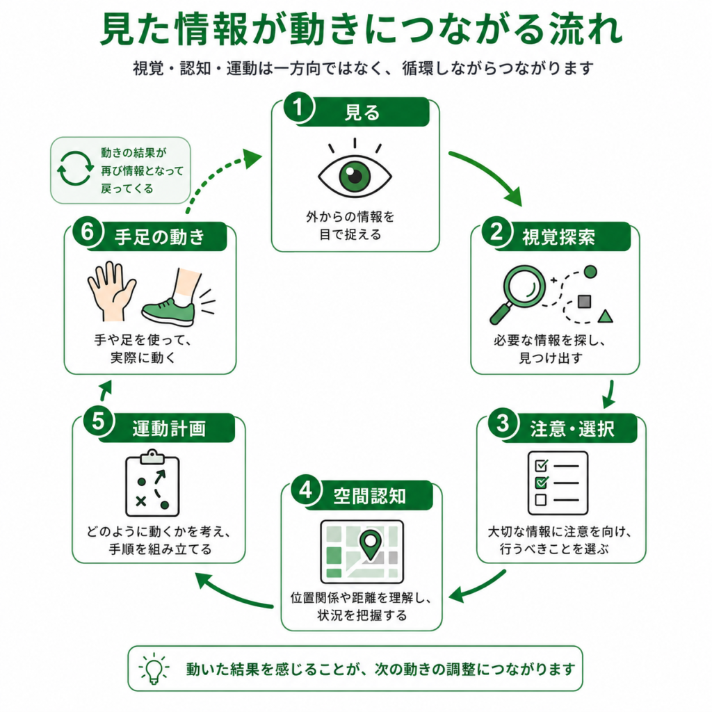 見た情報が動きに繋がる流れ
