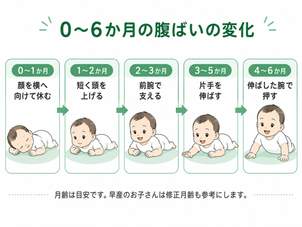 0～6か月の腹ばいの変化