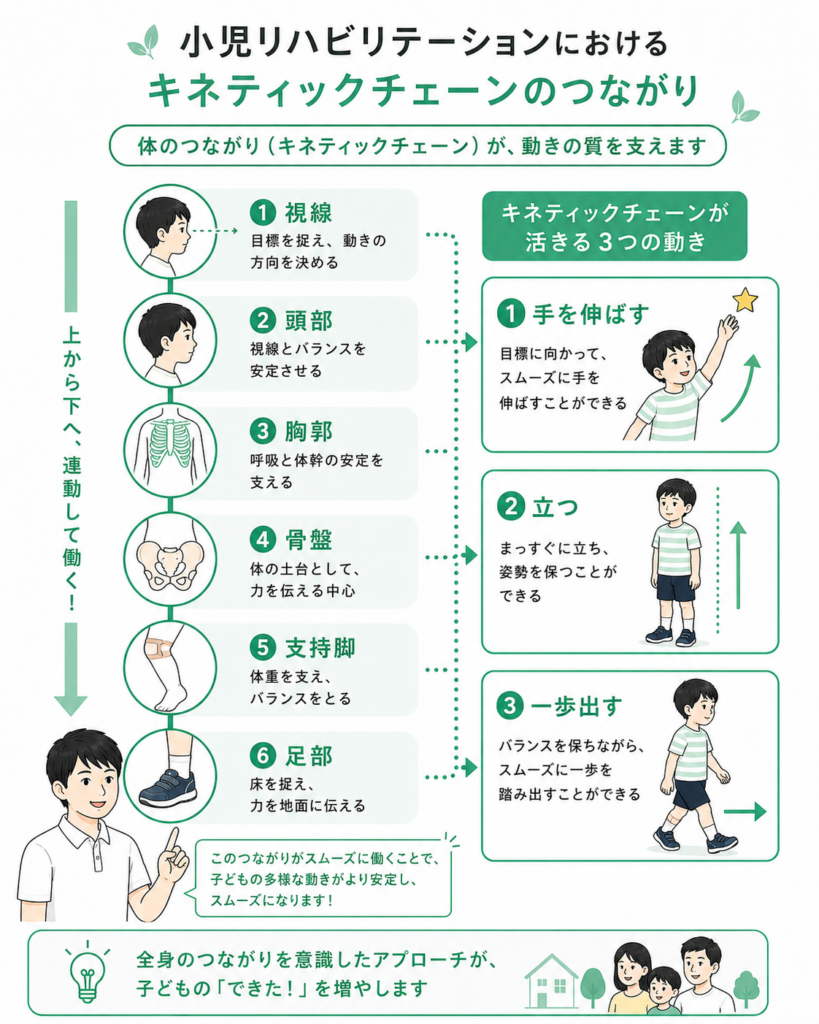 小児リハにおけるキネマティックチェーン