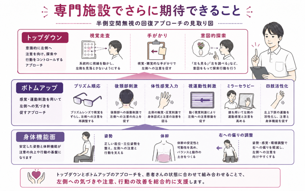 半側空間無視のエビデンス介入