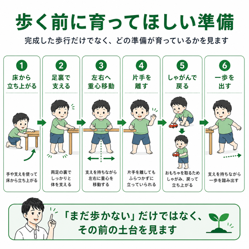 歩く前に育ってほしい準備