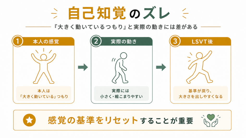 自己知覚のずれ