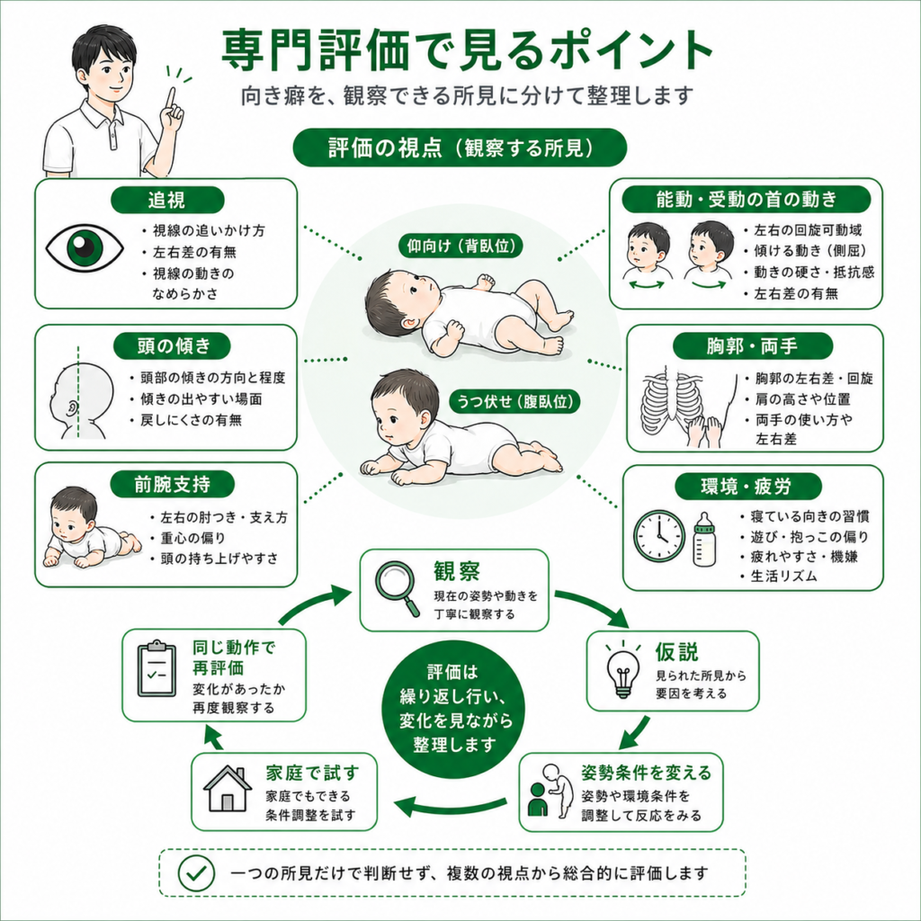 専門ひょかでみるポイント