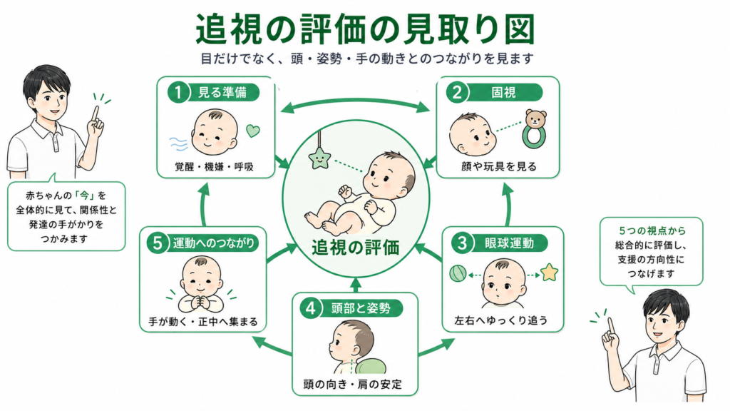 追視の評価の見取り図