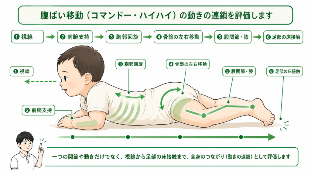 ハイハイの動きの連鎖を評価