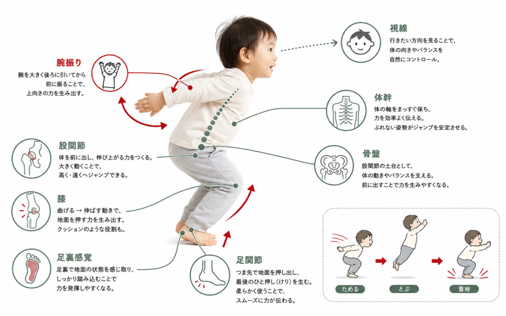就学前運動