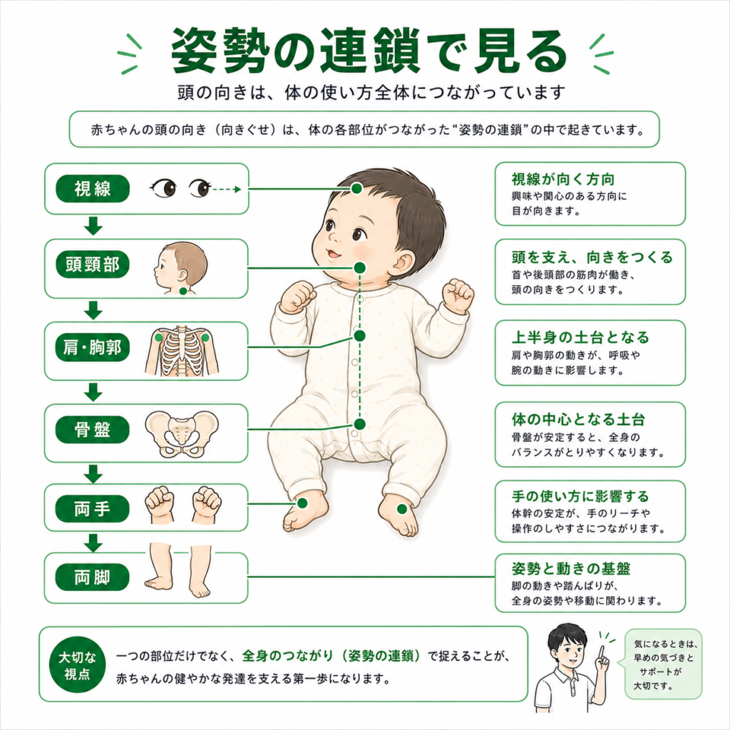 姿勢の連鎖でみる