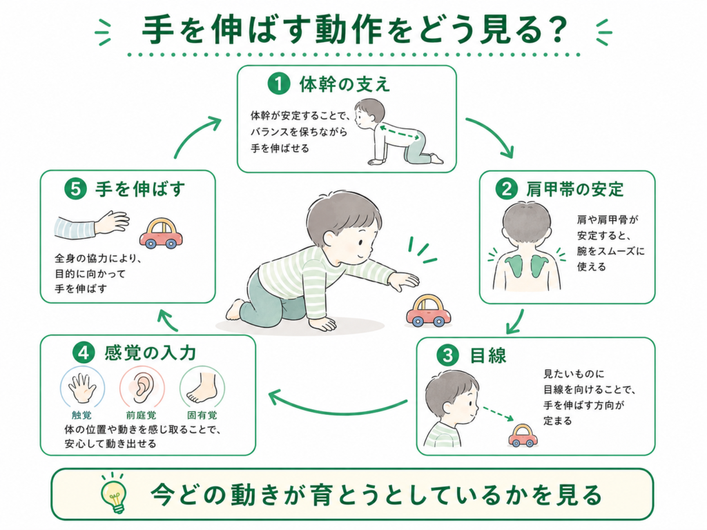 手を伸ばす動作の分析