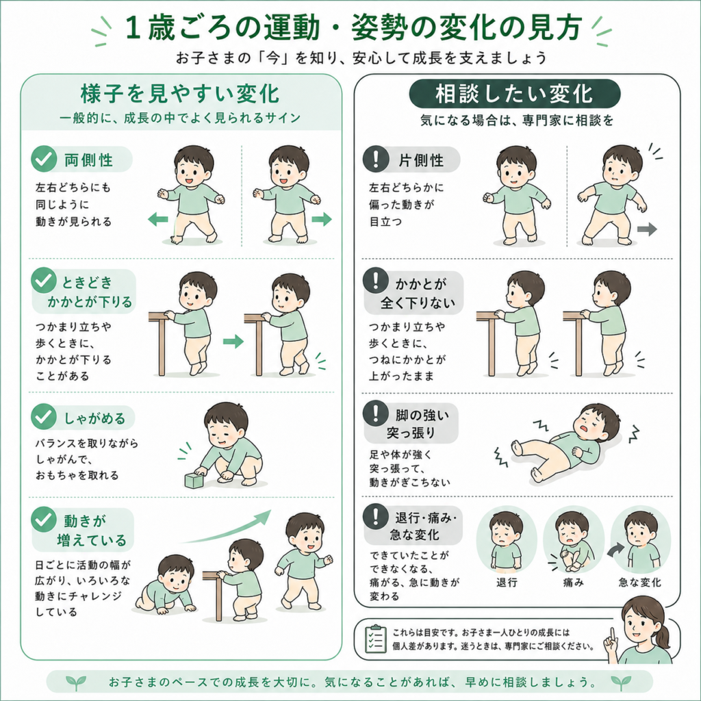 1歳ごろの運動・姿勢の変化の見方