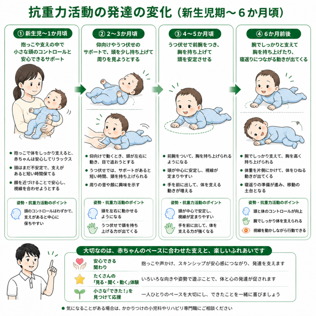 抗重力活動の発達の変化