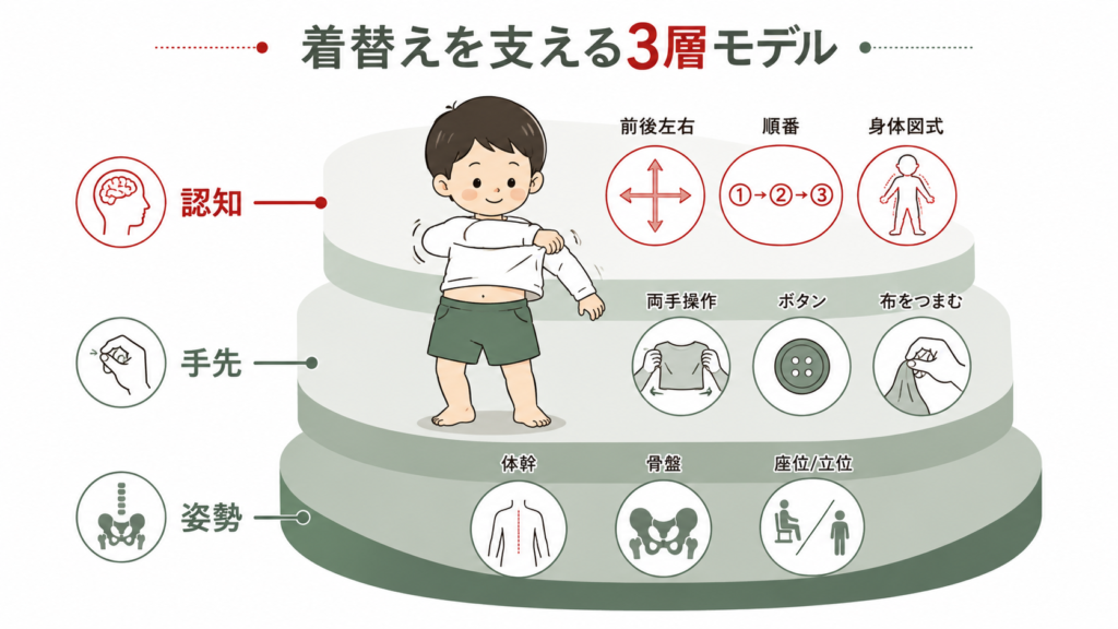 更衣３層モデル
