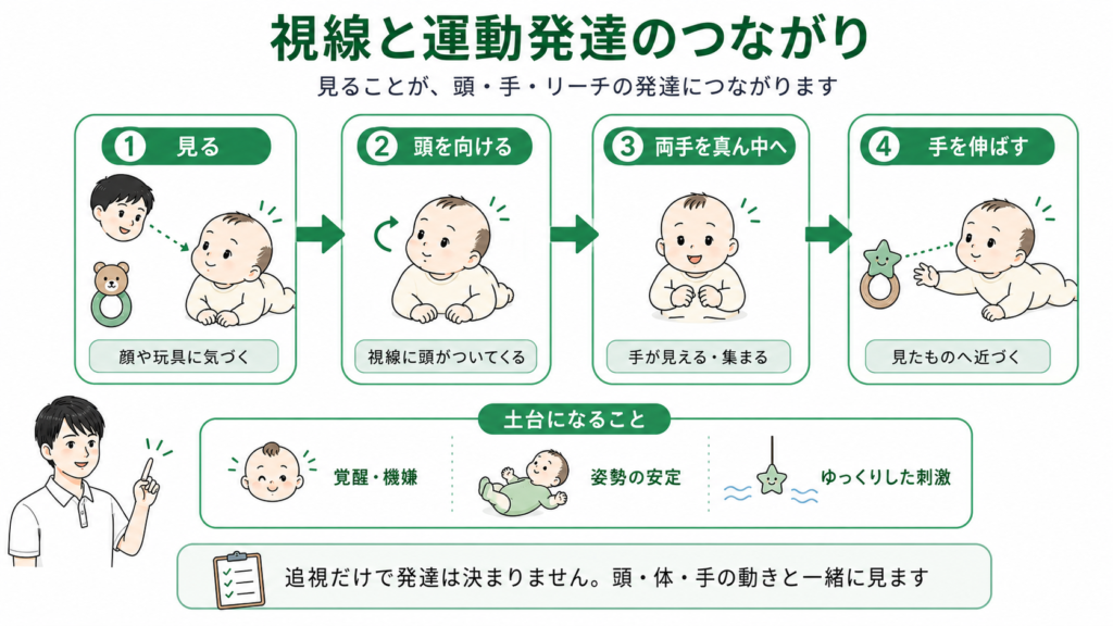 視線と運動発達のつながり