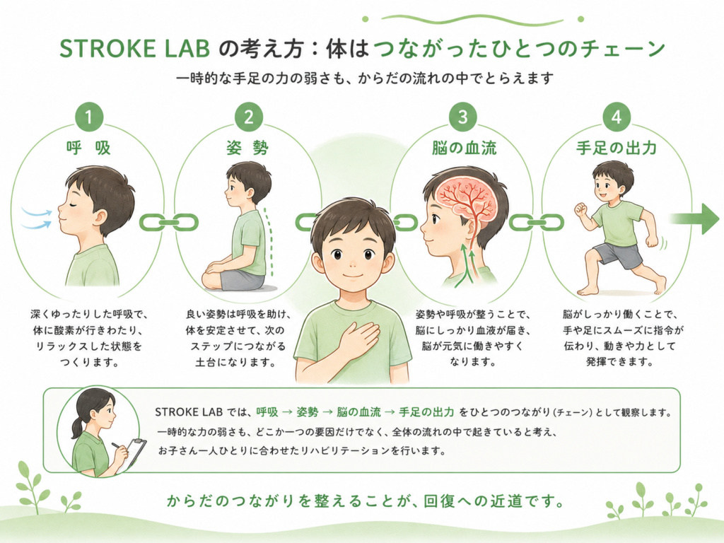 身体はつながった一つのチェーン