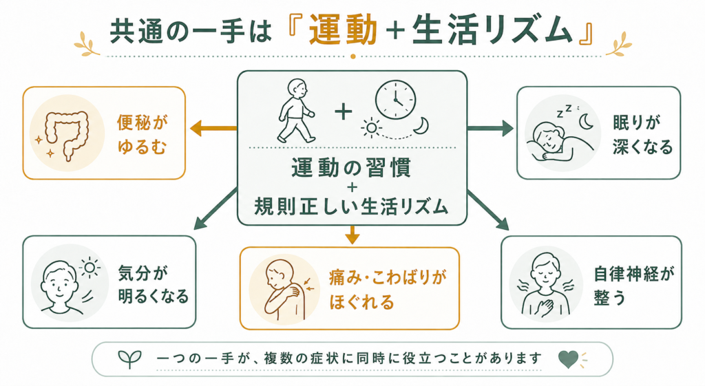 共通の一手となる運動と生活リズム