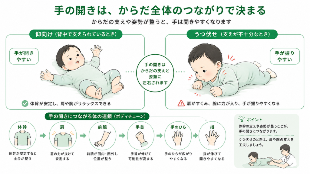 手の開きは体全体のつながりで決まる