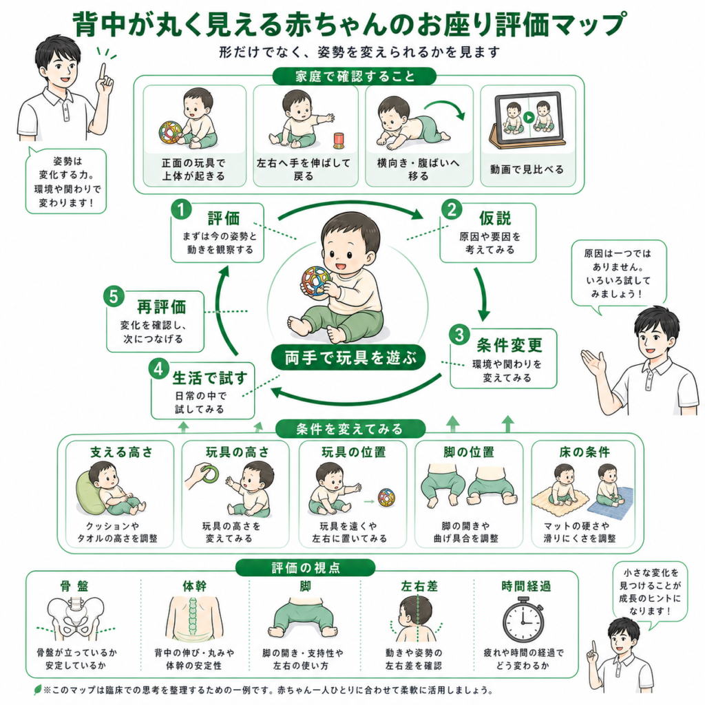背中が丸く見える赤ちゃんのおすわり評価マップ