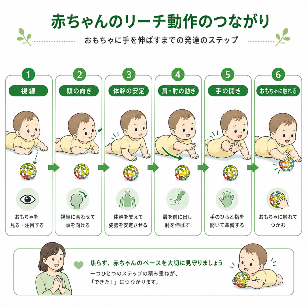 赤ちゃんのリーチ動作のつながり
