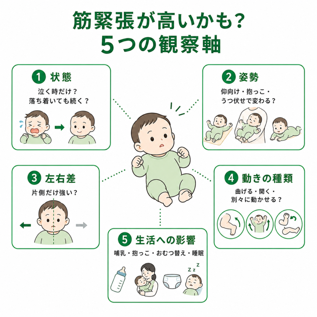 筋緊張が高いかも5うの観察軸