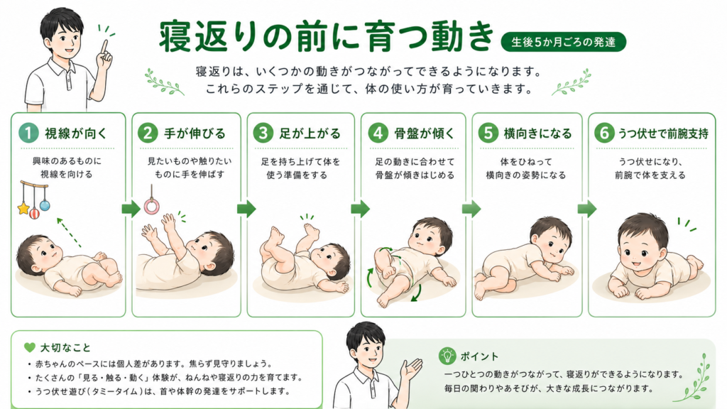 寝返りの前に育つ動き