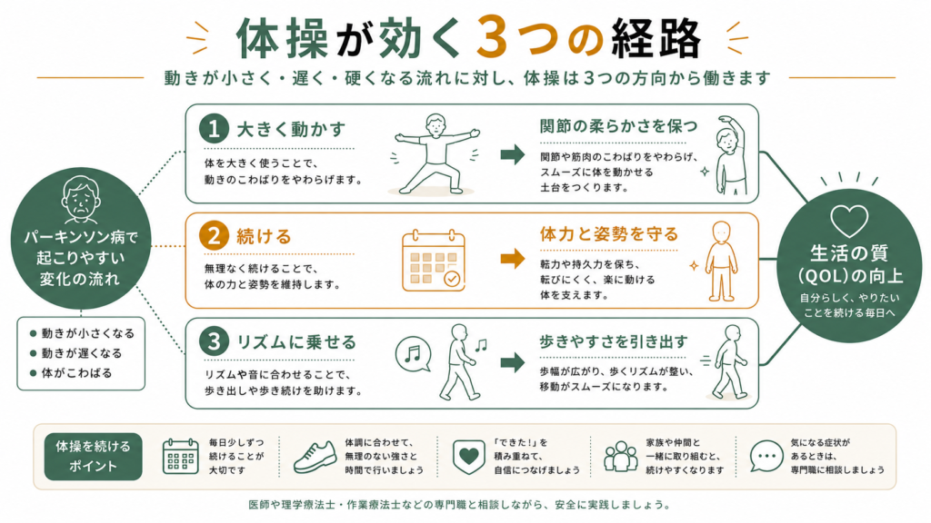 体操が効く3つの経路