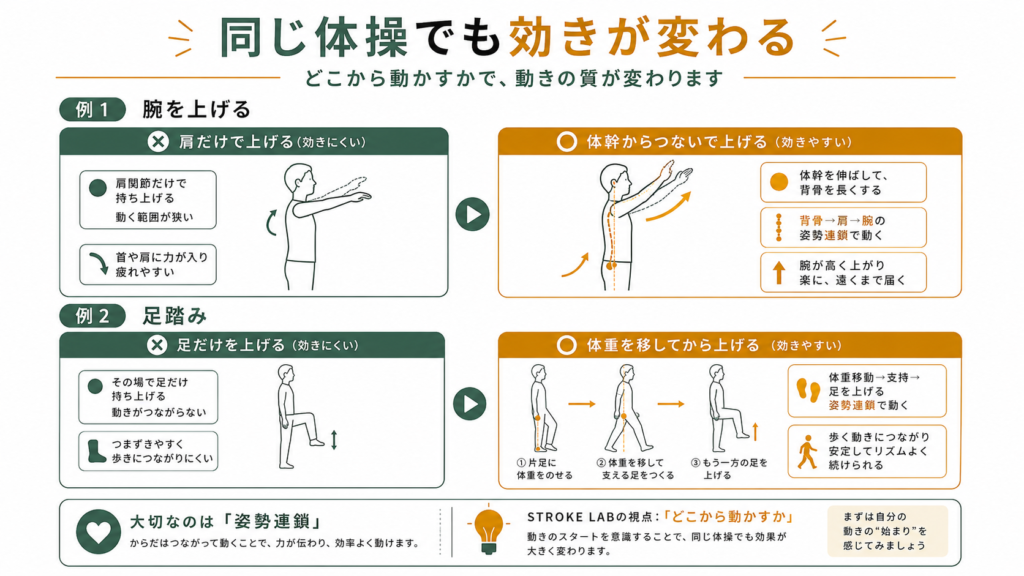同じ体操でも動きが変わる