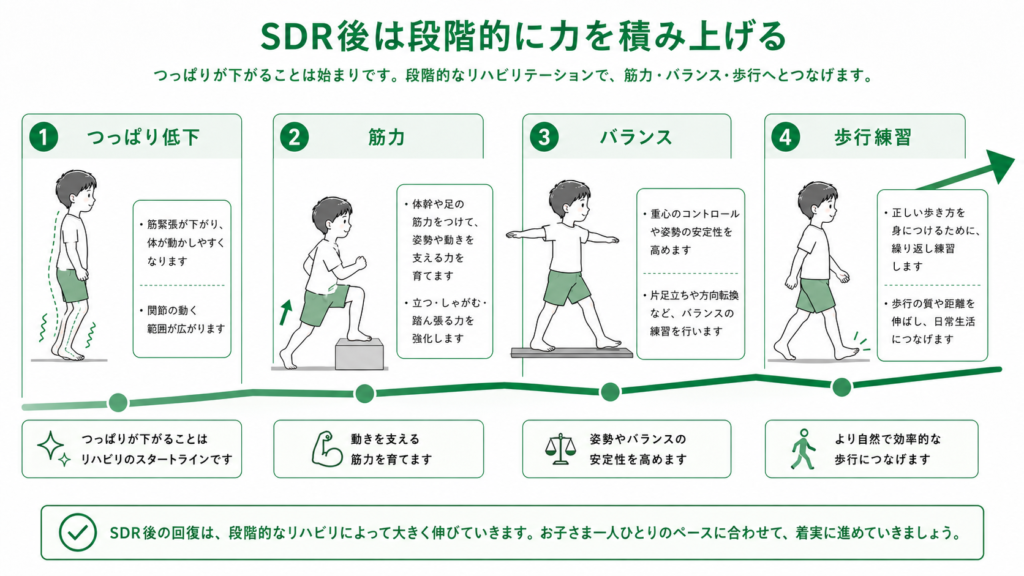 SDR語は段階的に力を積み上げる
