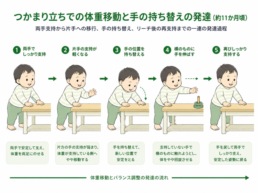 掴まり立ちを体重移動と手の持ち替えの発達