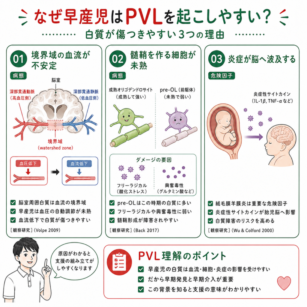PVLの3つの原因