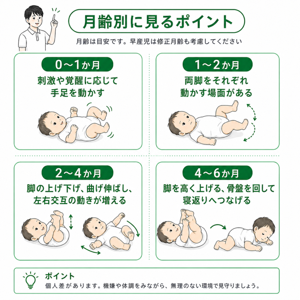 月齢別にみるポイント