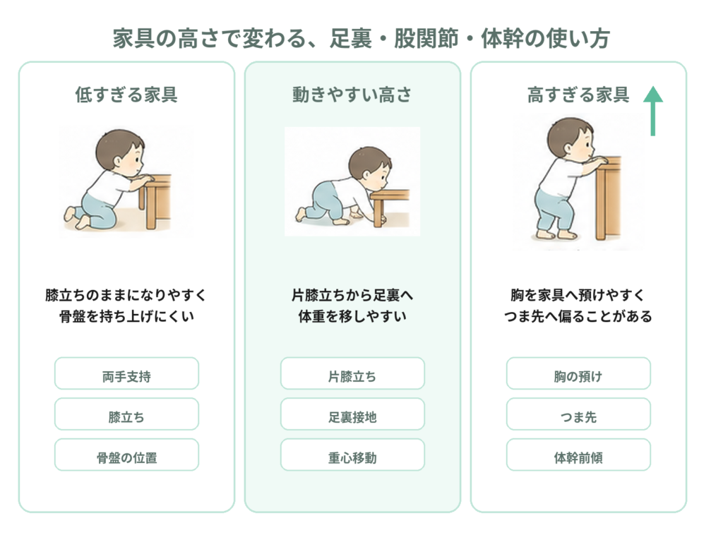 家具の高さで変わる足裏・股関節・体幹の使い方