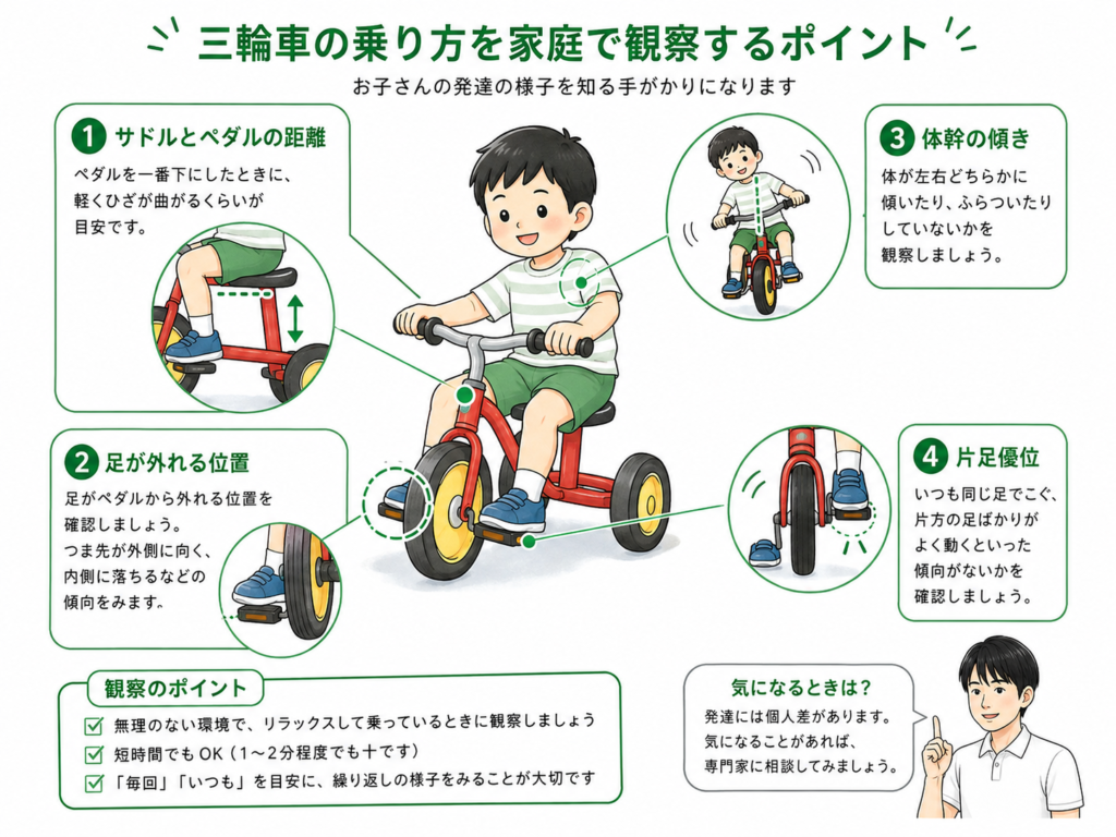 三輪車の乗り方を家庭で観察するポイント