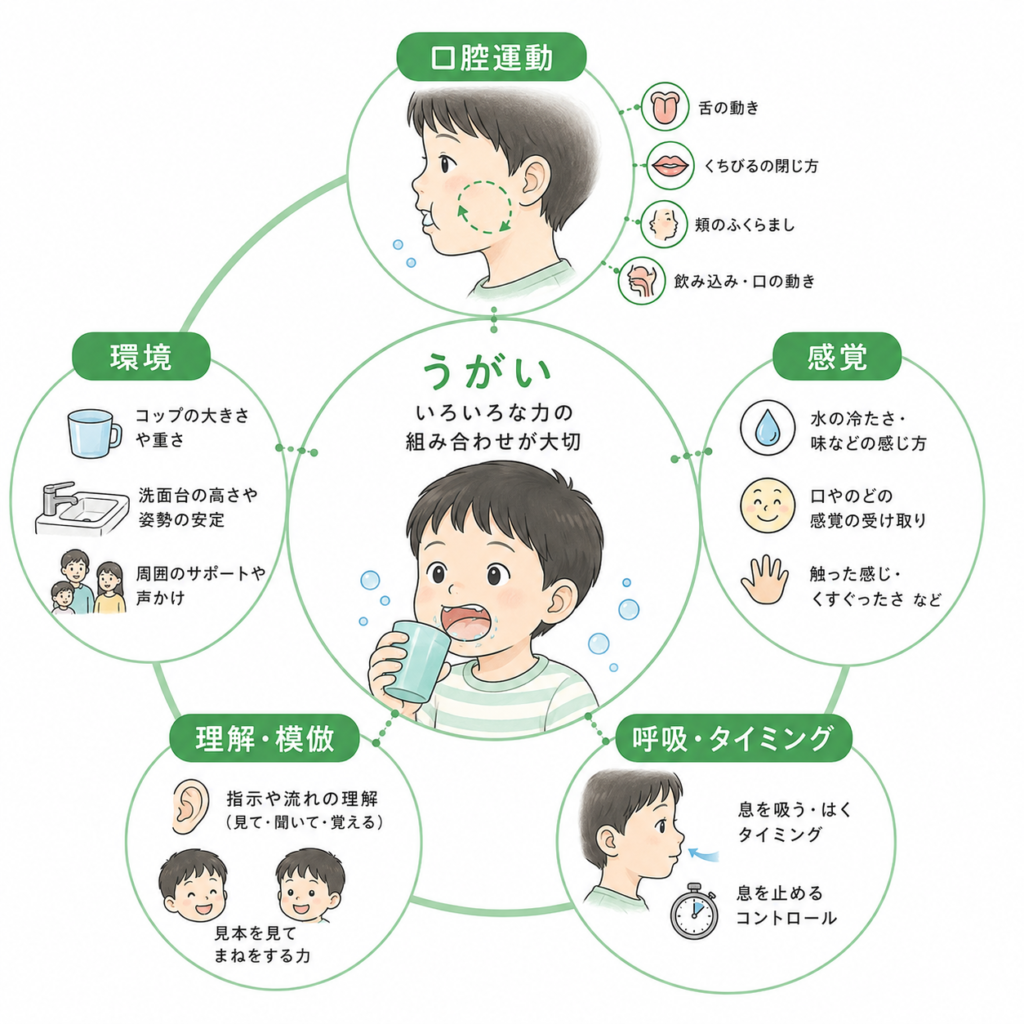 うがいの様々な組み合わせ