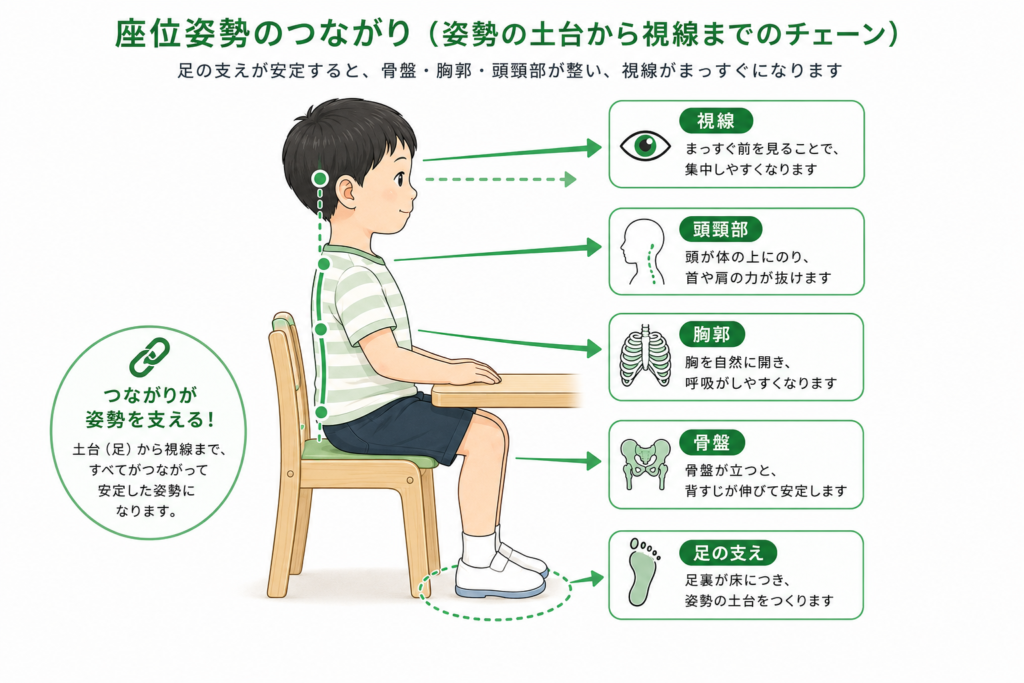 坐位姿勢のつながり