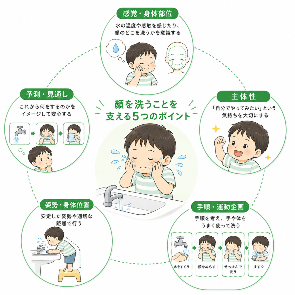 顔を洗うことを支える5つのポイント