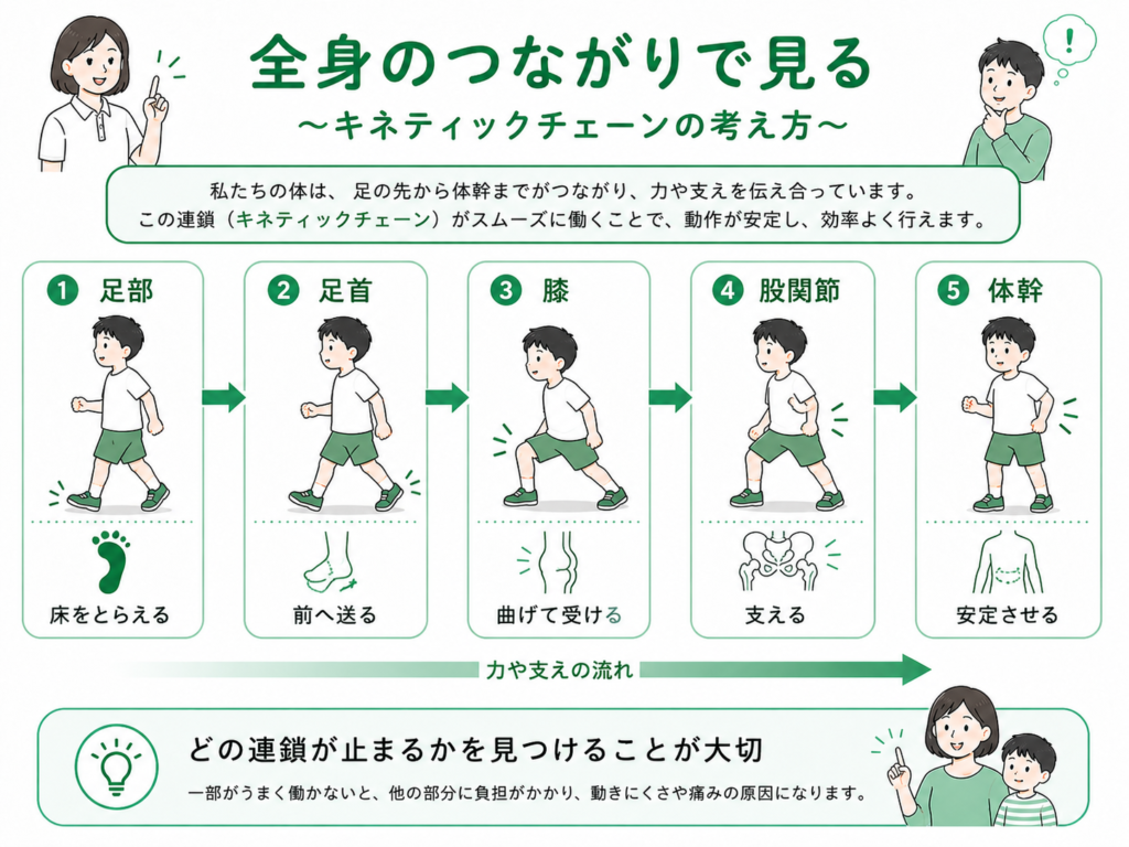 全身のつながり