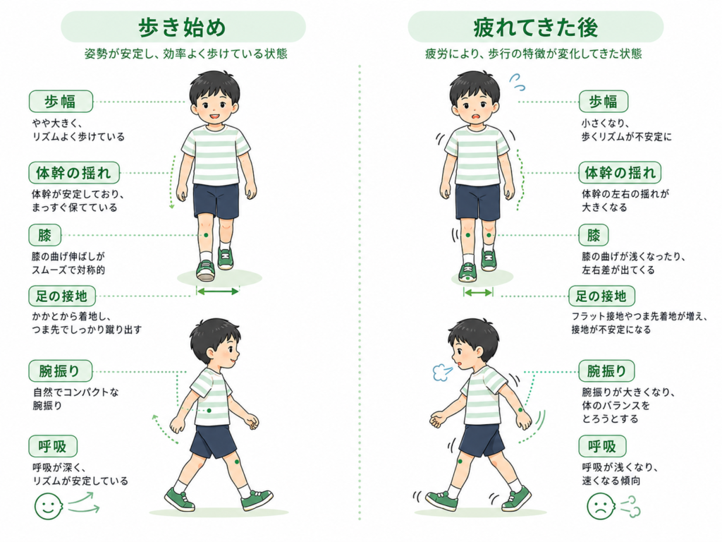 歩き始めと疲れてきたとき