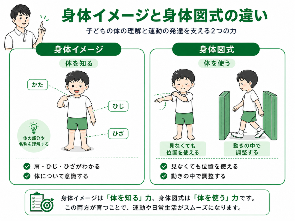 身体イメージと身体図式の違い