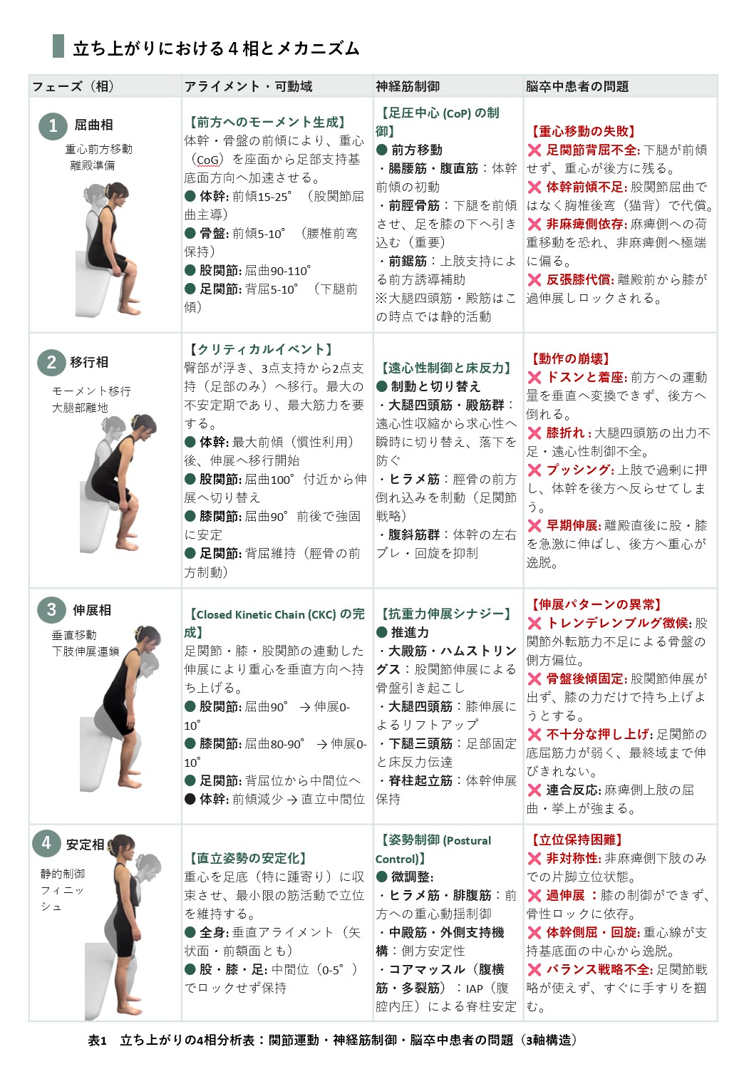 立ち上がりにおける4相とメカニズム分析表