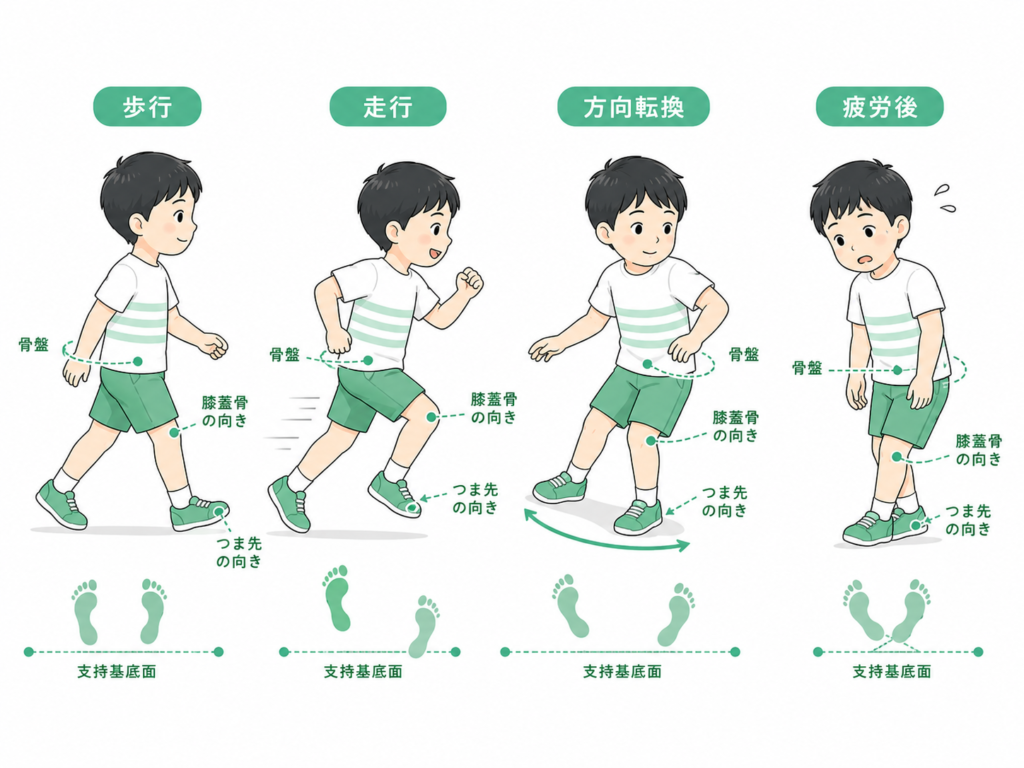 歩行、走行、方向転換、疲労