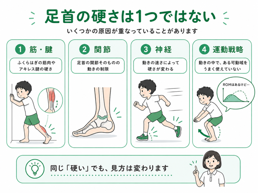 足首の硬さは一つではない